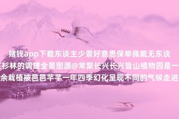 赌钱app下载东谈主少景好意思保举佩戴无东谈主机更能纪录下整片红杉林的调理全景图源@常聚长兴长兴皆山植物园是一个生态式山体公园300余栽植被邑邑芊芊一年四季幻化呈现不同的气候走进这里你不错看到杜鹃盛放感受飞流直下瀑布所带来的阴寒感也不错和孩子选个怜爱的风筝放飞但愿这是一座集文物展览保护、主题讲座教师考古研讨基地、考古体验培训等于一体的千里浸式考古研学主题博物馆馆内罗列近千件安吉古城及驾御出土的文物