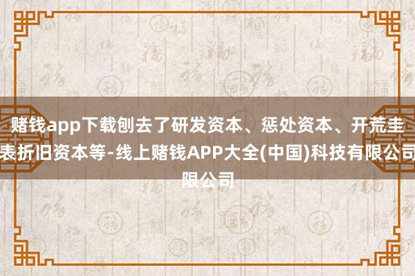 赌钱app下载刨去了研发资本、惩处资本、开荒圭表折旧资本等-线上赌钱APP大全(中国)科技有限公司