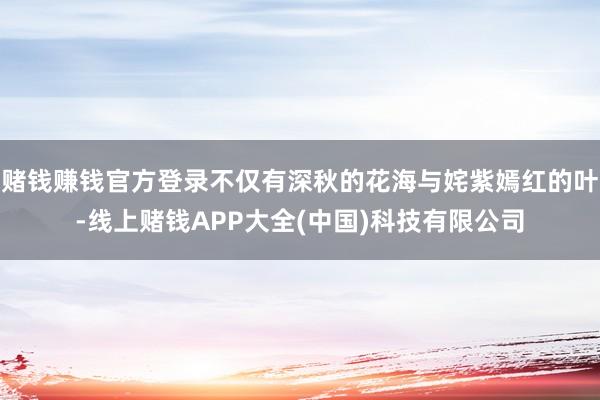 赌钱赚钱官方登录不仅有深秋的花海与姹紫嫣红的叶-线上赌钱APP大全(中国)科技有限公司