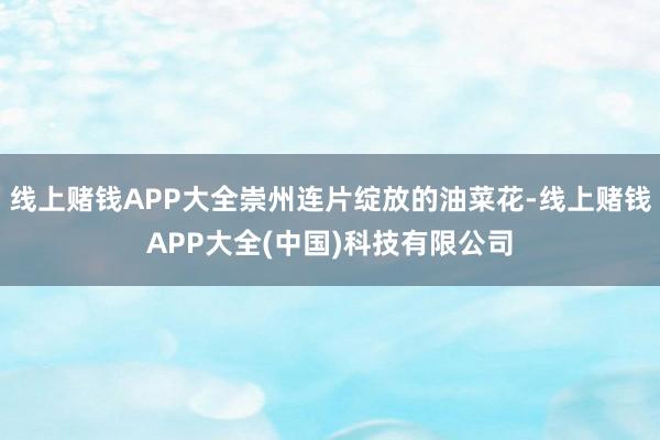 线上赌钱APP大全崇州连片绽放的油菜花-线上赌钱APP大全(中国)科技有限公司