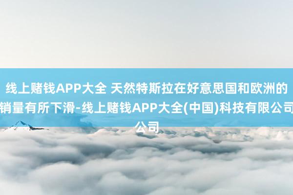 线上赌钱APP大全 天然特斯拉在好意思国和欧洲的销量有所下滑-线上赌钱APP大全(中国)科技有限公司