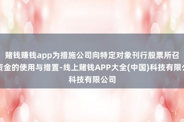 赌钱赚钱app为措施公司向特定对象刊行股票所召募资金的使用与措置-线上赌钱APP大全(中国)科技有限公司